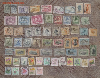 Бельгийское Конго, 61 марка, до 22:00 16.06 - congo1