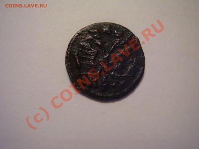 Полушка 1719г. до 18.07 в 21:00 Москвы - P2150685.JPG