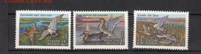 марки РФ 1992 утки - 13