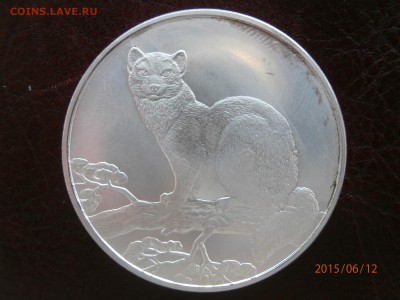 3 рубля 1995 г соболь(серебро) на 1 рубль 1999 спмд пушкин - P6120413.JPG