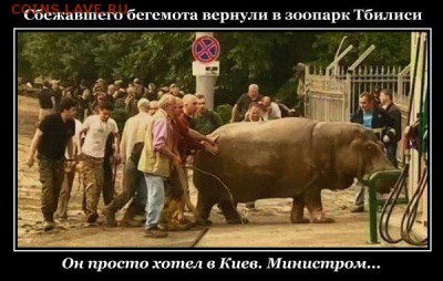 Международные новости - 1 yy68