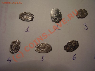 Чешуйки Петра, 6 шт., до 19.07 до  21:00 Москвы - P2160703.JPG