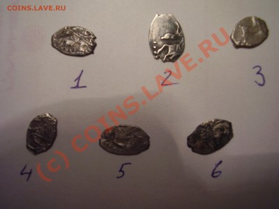 Чешуйки Петра, 6 шт., до 19.07 до  21:00 Москвы - P2160704.JPG