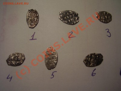 Чешуйки Петра, 6 шт., до 19.07 до  21:00 Москвы - P2160705.JPG