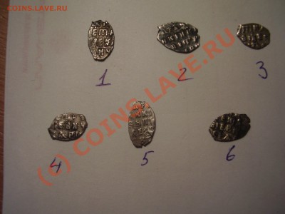 Чешуйки Петра, 6 шт., до 19.07 до  21:00 Москвы - P2160706.JPG