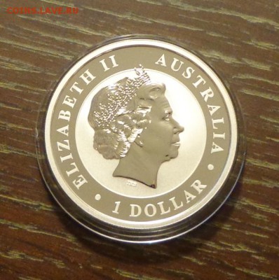 АВСТРАЛИЯ - КОАЛА унцовка до 19.06, 22.00 - Австралия коала-1