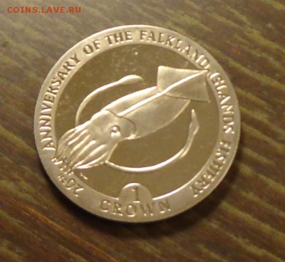 Фолклендские о-ва - КАЛЬМАР до 19.06, 22.00 - Фолклендские о-ва кальмар - 1