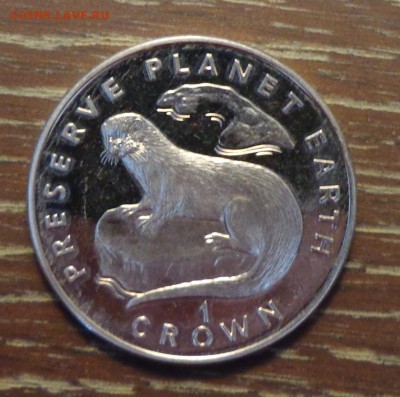 о.МЭН - Крона ВЫДРА до 19.06, 22.00 - о.Мэн выдра