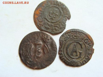 Чешуя 4 шт. + бонус до 22-00 15.06.2015 г. - DSC05416.JPG