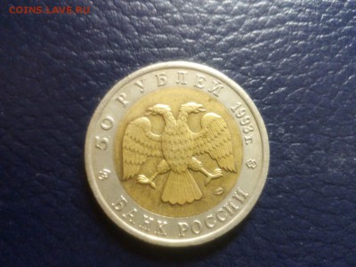 туркменский Эублефар 1993г до 22.00   19.06.15 - image-5165b49cf99b26f3bced0f571a6e9dda8b851792f60895f560112c86c08ea2df-V