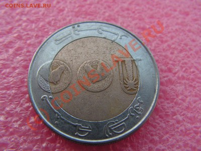 -БМ-Алжир- 100 динар 1993 -- 20 июля 21-00 - PICT0702.JPG