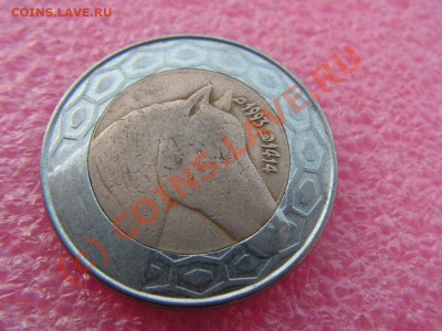 -БМ-Алжир- 100 динар 1993 -- 20 июля 21-00 - PICT0701.JPG