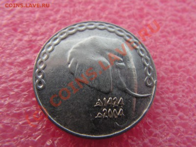 -Алжир- 5 динар 2004 -- 20 июля 21-00 - PICT0709.JPG