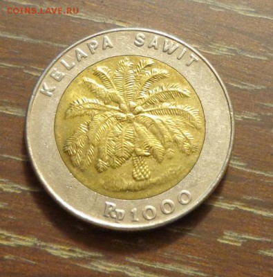ИНДОНЕЗИЯ - ПАЛЬМА 1000р БИМ АЦ нечастая до 23.06, 22.00 - индонезия пальма - 2