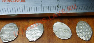 4 чешуйки на определение - S8301413.JPG