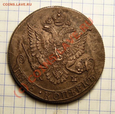 5 коп 1784 км до 16.07 в 22-00 по мск Короткий! - P1020065.JPG