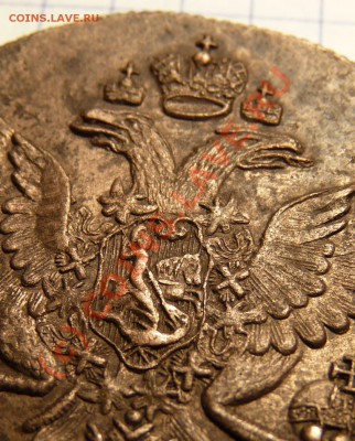 5 коп 1784 км до 16.07 в 22-00 по мск Короткий! - P1020069.JPG