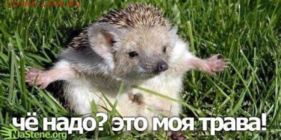 События на Украине. - x_6cda181c