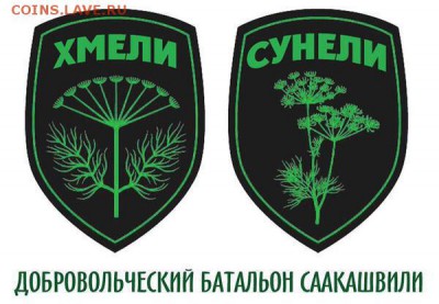События на Украине. - батальон Саакашвили