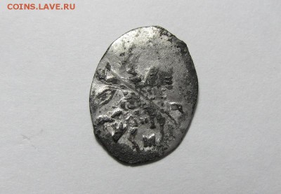 Чешуя на определение и оценку. - IMG_0690.JPG