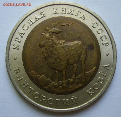 КК 5р 1991 Винторгий козёл до 23.06.15 в 22.00 - Козел 1