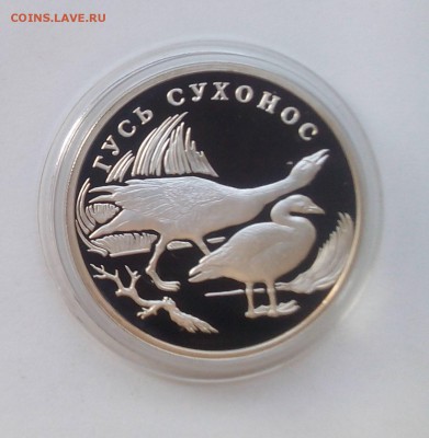 1 рубль 2006 КРАСНАЯ КНИГА КОМПЛЕКТ 21.06 22:00 - сухонос1