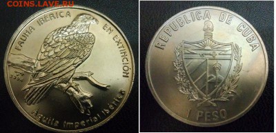 Куба. 1 песо. 2004г. Орёл Могильник. до 27.06. в 22.00 - file