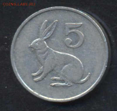 Зимбабве 5 центов 1991 г.   23.06.15 г. 22 -00 МСК. - Зимбабве 5