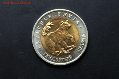 Гималайский Медведь 1993 г 25.06.15г. 22:30 - IMG_4705.JPG