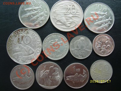 F Монеты с Животными до 19.07.10г. 22-00МСК - SL273829.JPG