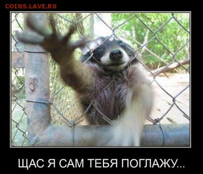 События на Украине. - демотивато
