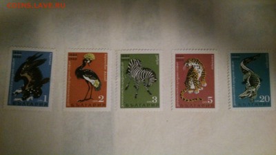 Болгария 1968 80-летие зоологического парка в Софии.MNH-MH - ipnUnpuyORI