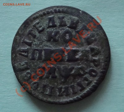 петровка на оценку и определение. - 1714.JPG