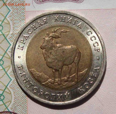 красная книга Винторогий козел 1991г.До 26.06 в 22.00 мск - 31