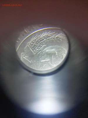 10 копеек 1928 год шт 1.2??? - IMG_20150624_162934
