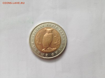 красная книга Рыбный Филин 1991г.До 28.06 в 22.00 мск - IMG_0194