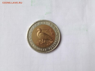 красная книга Краснозобая казарка 1992г.До 28.06 в 22.00 мск - IMG_0196