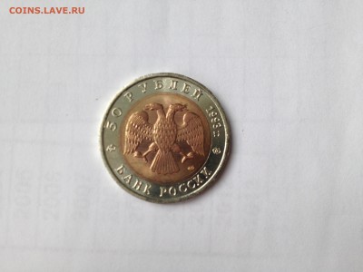 красная книга Черноморская Афалина 1992г.До 28.06 в 22.00 м - IMG_0204