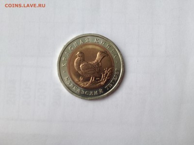 красная книга Кавказский тетерев 1993г.До 28.06 в 22.00 м - IMG_0207