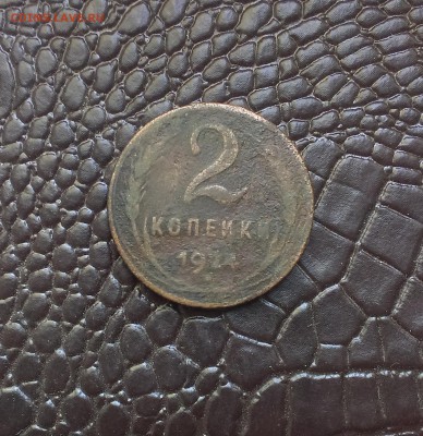 Уставшие 2 и 3 копейки 1924 - IMAG2075