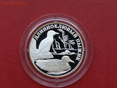 Длинноклювый пыжик, 1 рубль 2005 г. до 30.06.2015, 22:00 - P1270470.JPG