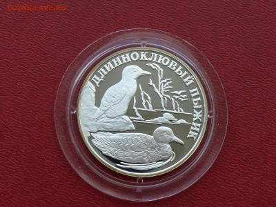 Длинноклювый пыжик, 1 рубль 2005 г. до 30.06.2015, 22:00 - P1270469.JPG