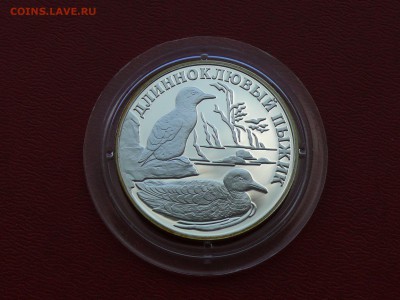 Длинноклювый пыжик, 1 рубль 2005 г. до 30.06.2015, 22:00 - P1270468.JPG