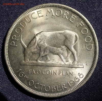 С 1 руб. F.A.O. УГАНДА 5 шиллингов 1968г. КРУПНАЯ   до 1.07 - IMG_6168.JPG