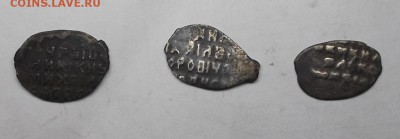 9 чешуек на определение. - DSCF7725.JPG