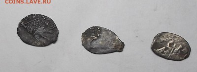 9 чешуек на определение. - DSCF7727.JPG