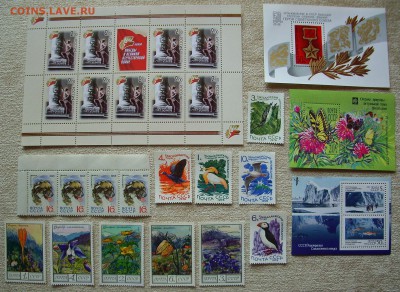 СССР. Большой лот (марки,блоки,МЛ).Чистые. До 30.06.15 г. - IMG_4456.JPG