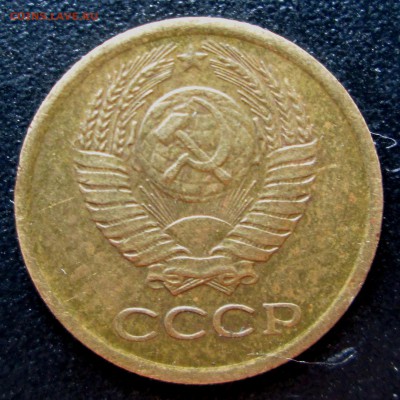 1 коп 1984_короткие ости_шт.1.42_АИФ №169_до 30.06. 23-00 - 1-84 004