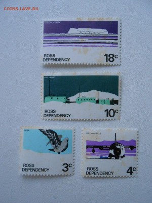 Новая Зеландия, Арктические территории, чистые - DSCN8959.JPG