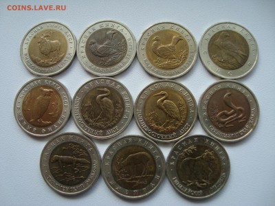 красная книга 11 шт + раненый фламинго - DSC02477.JPG